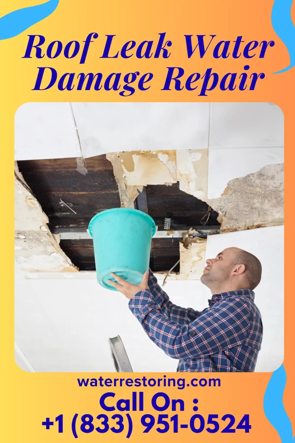 Roof Leak Water Damage Repair in Memphis, NE